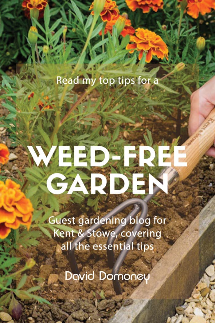 Guest Gardening Blog for Kent & Stowe: Top Tips for a Weed-Free Garden