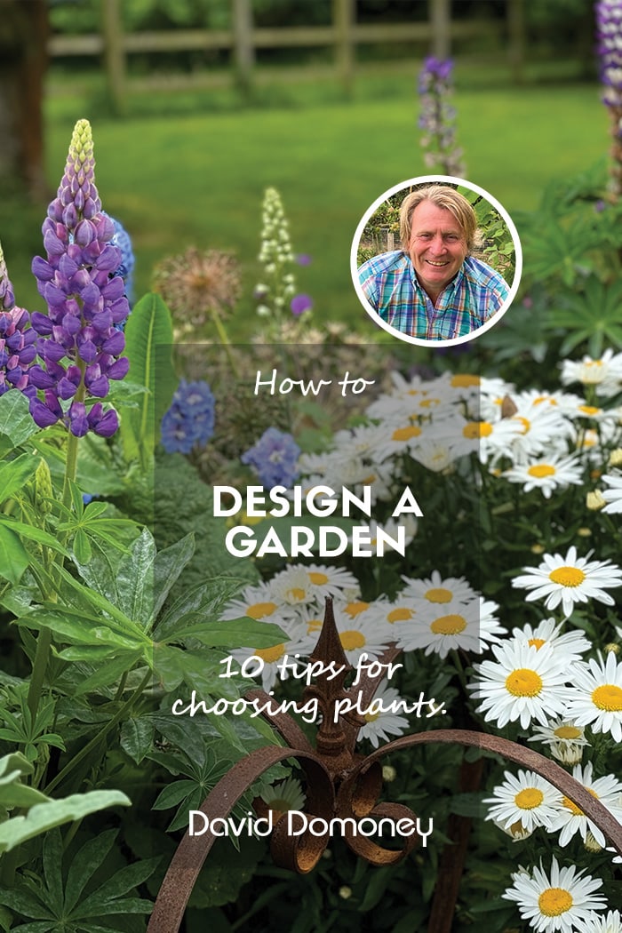 How to design a garden 10 tips for choosing plants