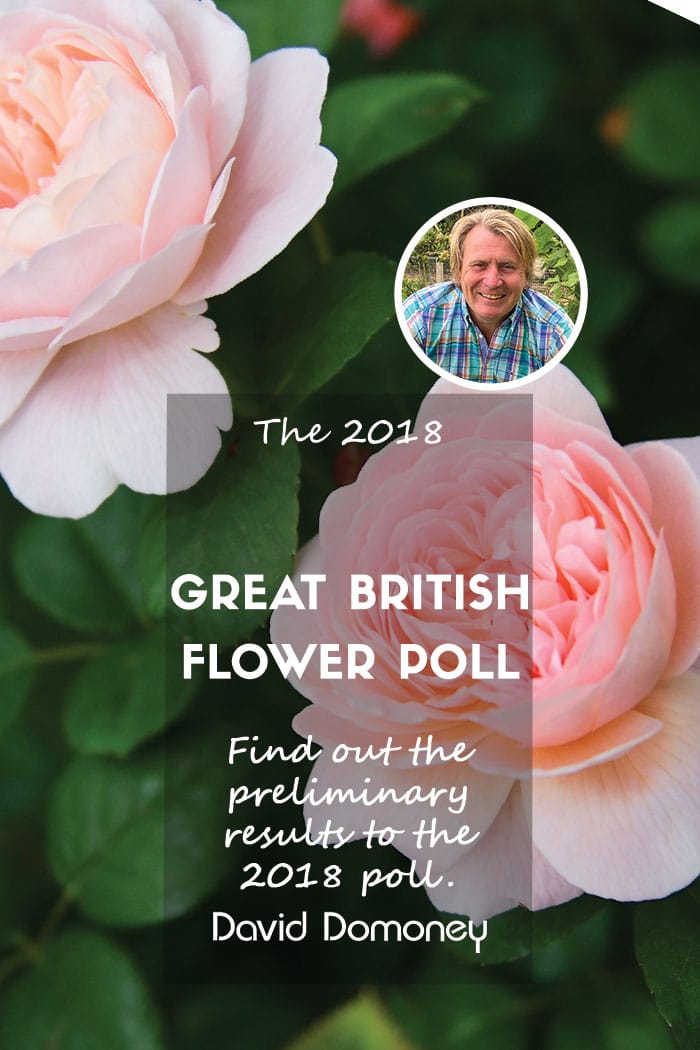 Great British Flower Poll 2018 – Preliminary Results