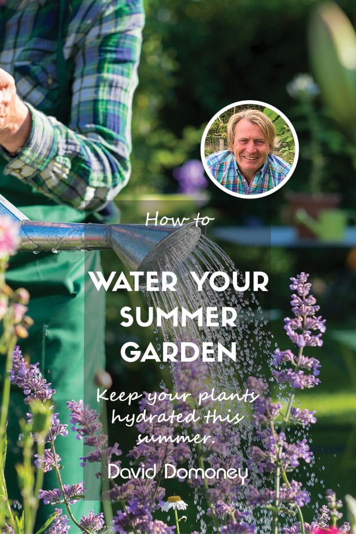 water your summer garden feature