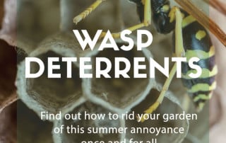 wasp deterrents