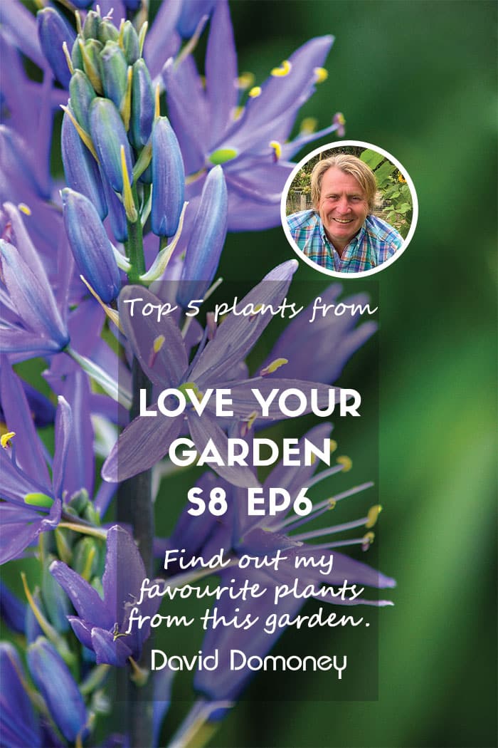 Top 5 Plants: Love Your Garden s8e6