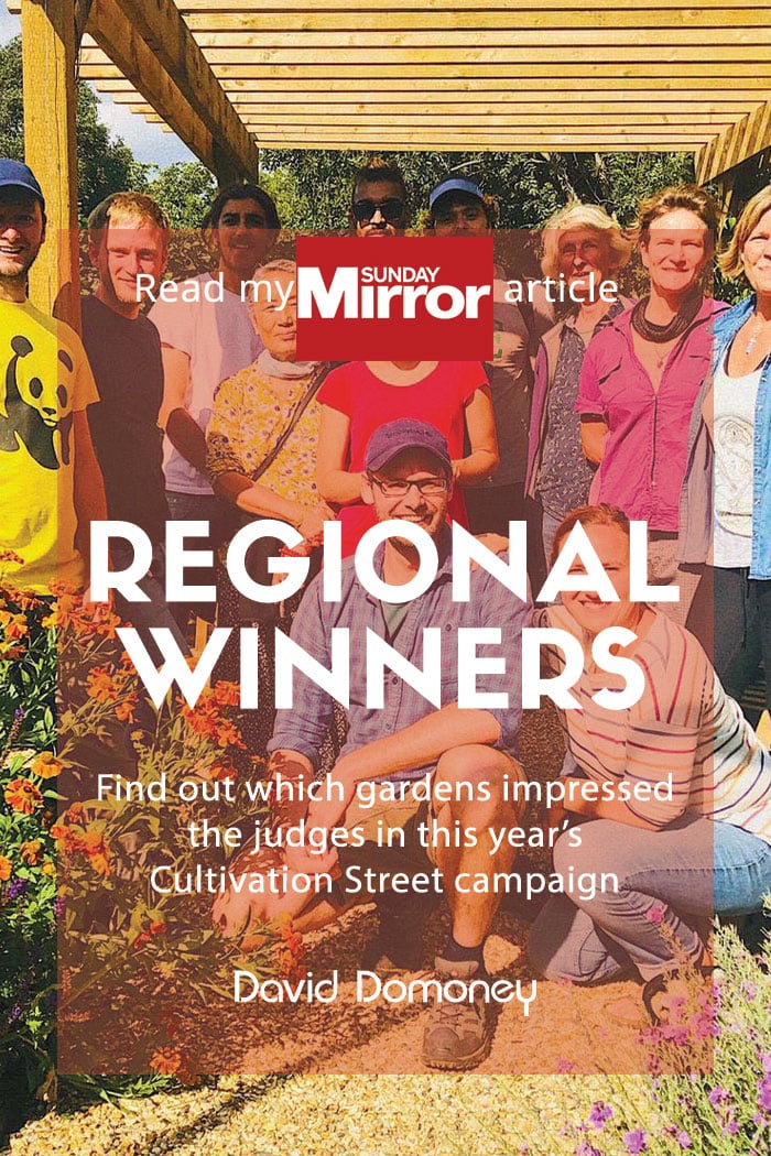 Sunday Mirror article: Cultivation Street Regional & Specialist Category Winners