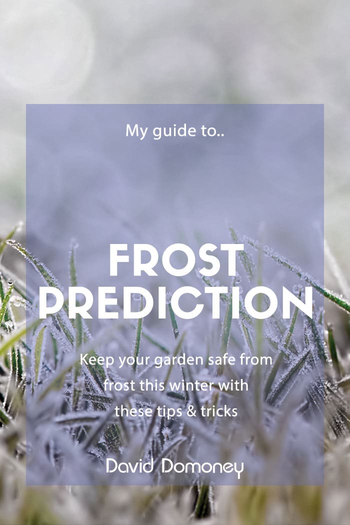 How to predict a frost