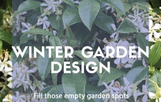 Winter garden design