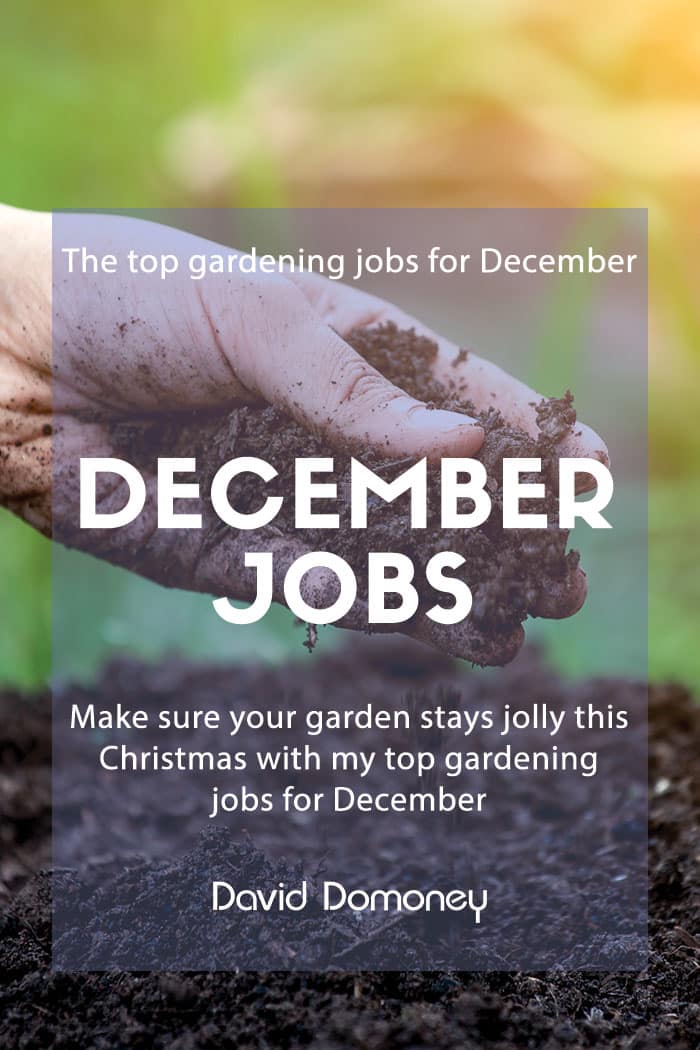 Top 3 gardening jobs for December