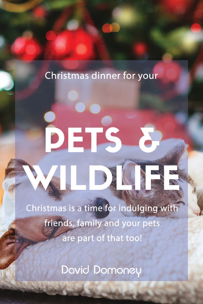 Christmas dinner for pets and wildlife