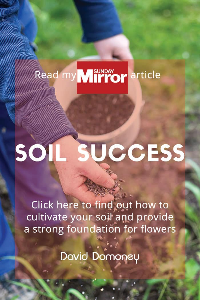 Sunday Mirror article: Soil success