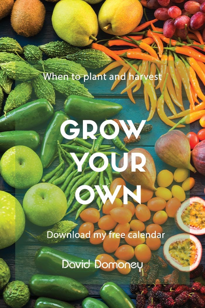 Grow your Own veg feature