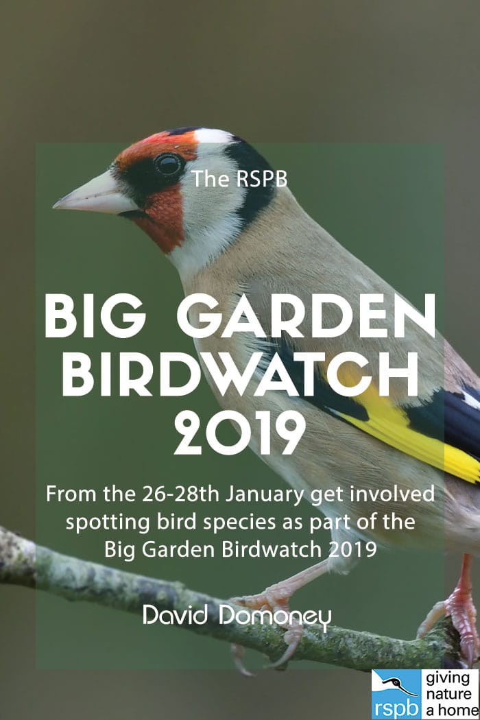 Big Garden Birdwatch 2019