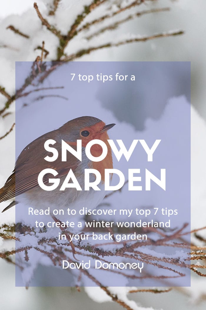 Garden tips for dealing with snow