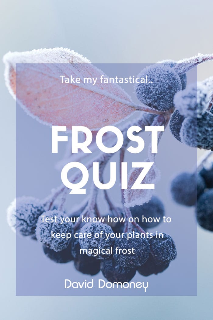 David Domoney’s Frost Quiz