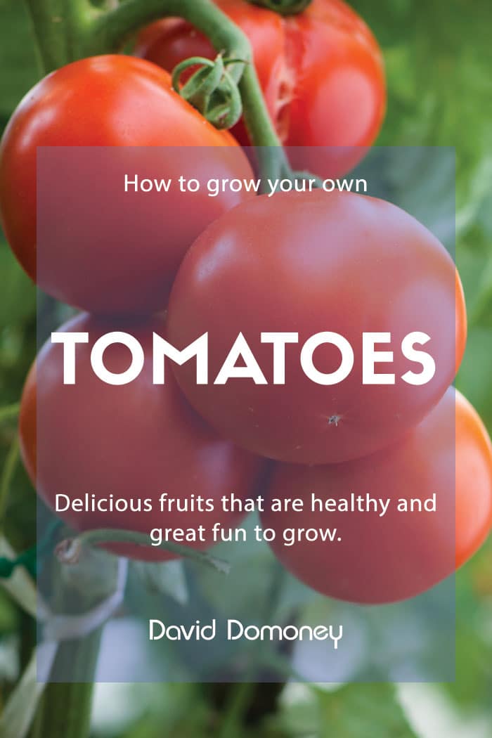 How to Grow Your Own Tomatoes