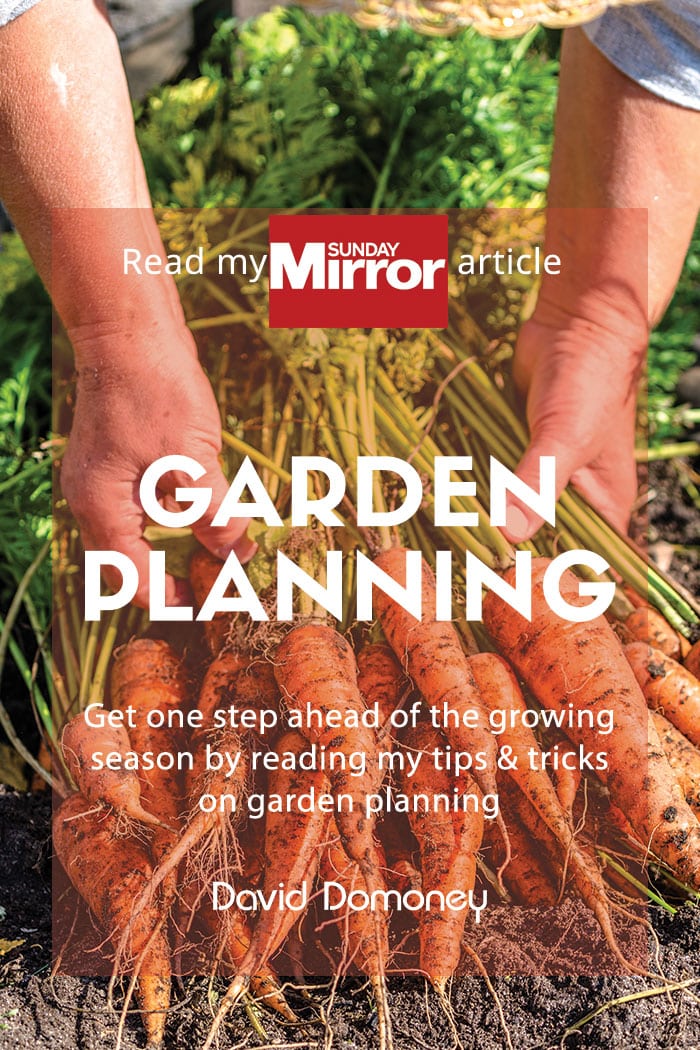 Sunday Mirror: Garden Planning