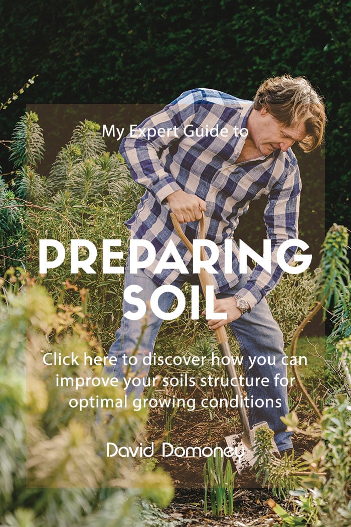 How to Prepare Soil for Cultivation