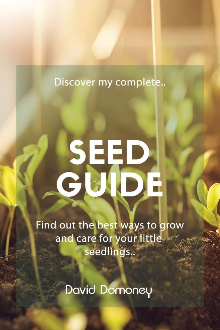 David Domoney’s complete seed guide