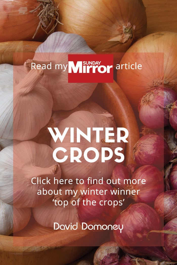 Sunday Mirror article: Winter Crops