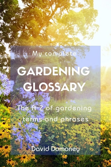 David Domoney’s Gardening Glossary