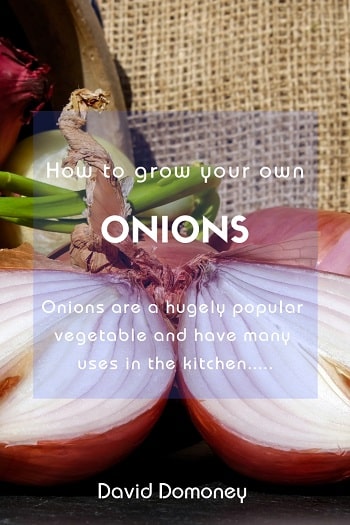 How to grow your own onions