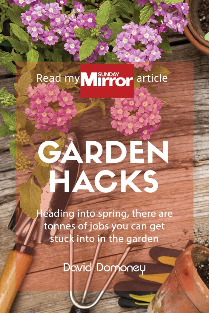 Sunday Mirror article: Garden Hacks