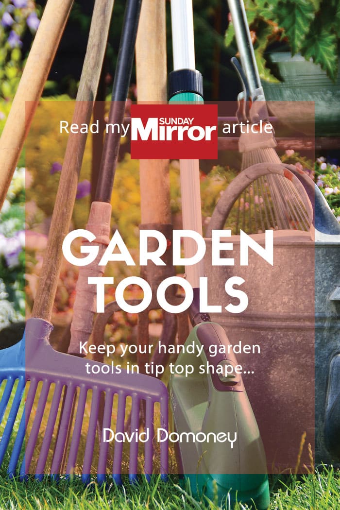 Sunday Mirror article: Garden tools