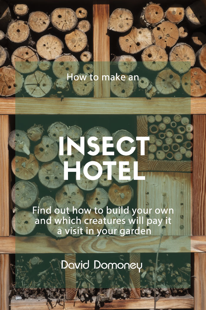 Insect hotel