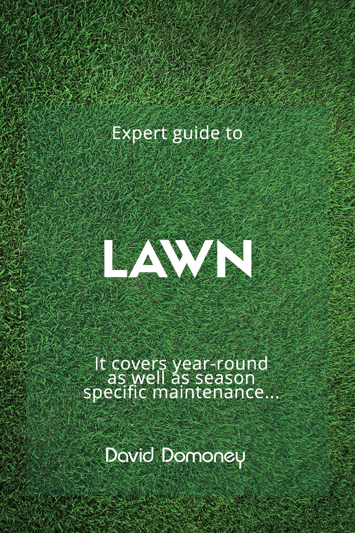 Lawn-Feature-Image