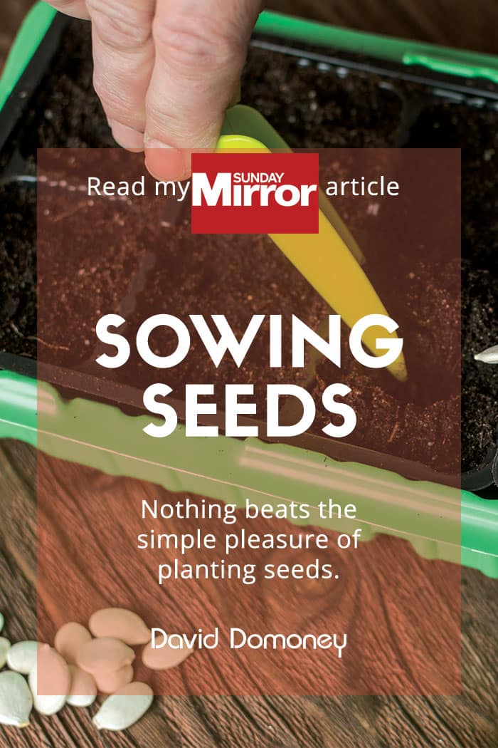 Sunday Mirror Article: Sowing Seeds