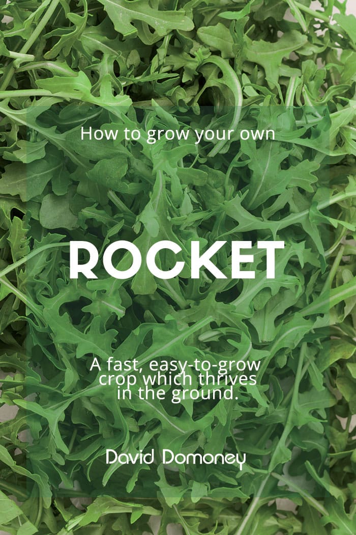 How to grow your own rocket