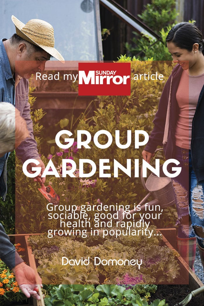 Sunday Mirror article: Group gardening