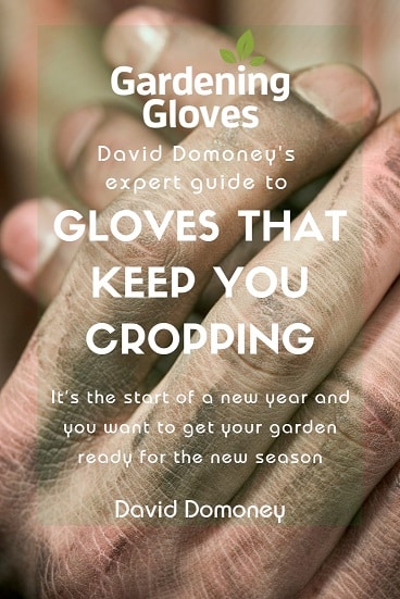 Gardening Gloves Blog Cropping