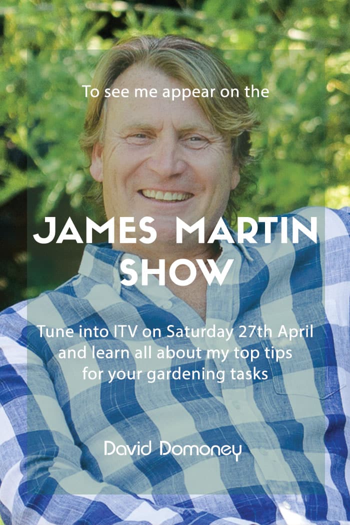 James Martin: Reusing kitchen items