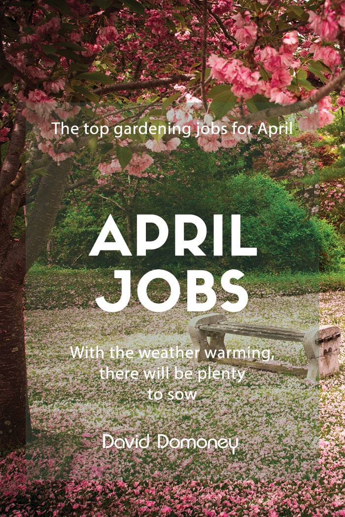 The top gardening jobs for April