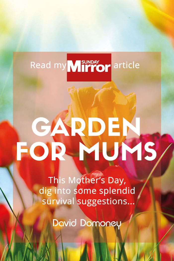 Sunday Mirror article: Garden for mums