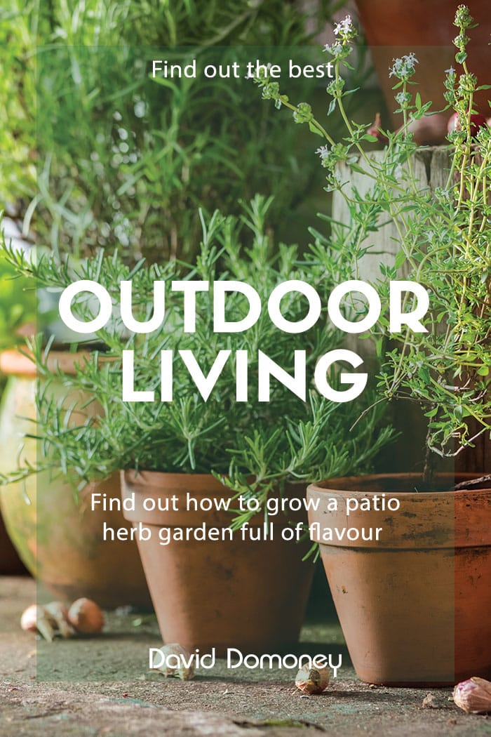 Outdoor living: How to grow a patio herb garden for flavour