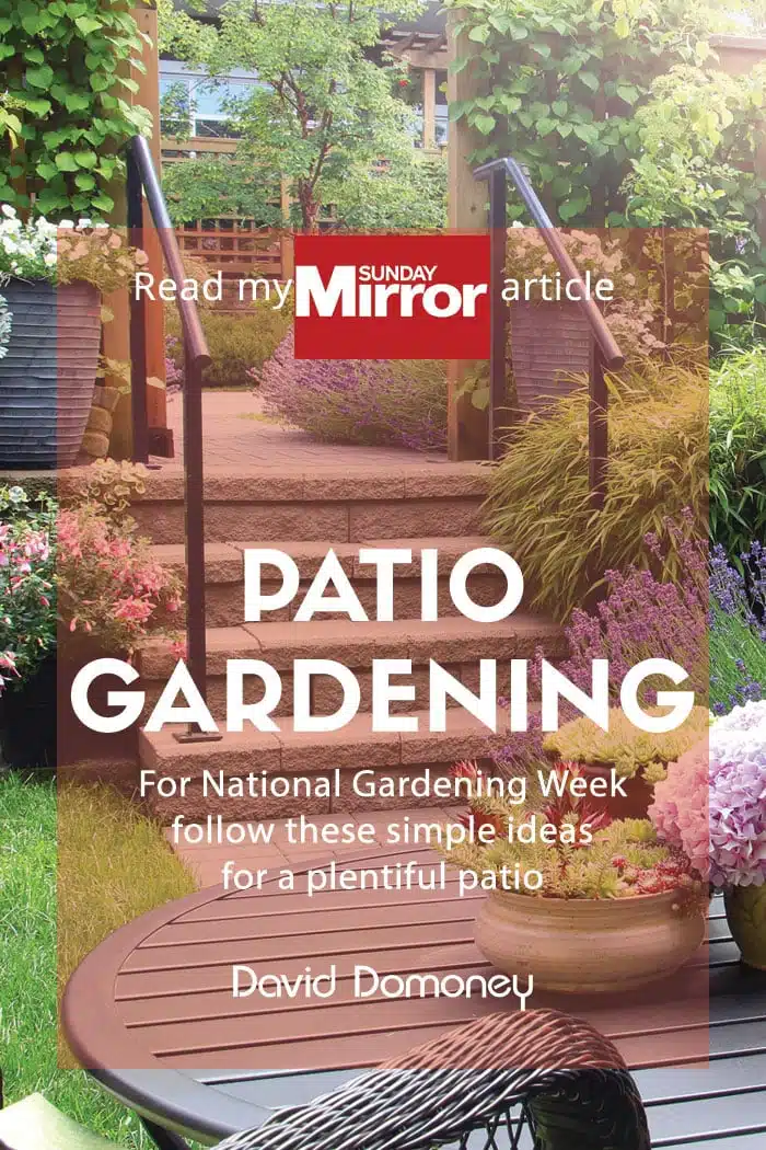 Sunday Mirror article: Patio Gardening