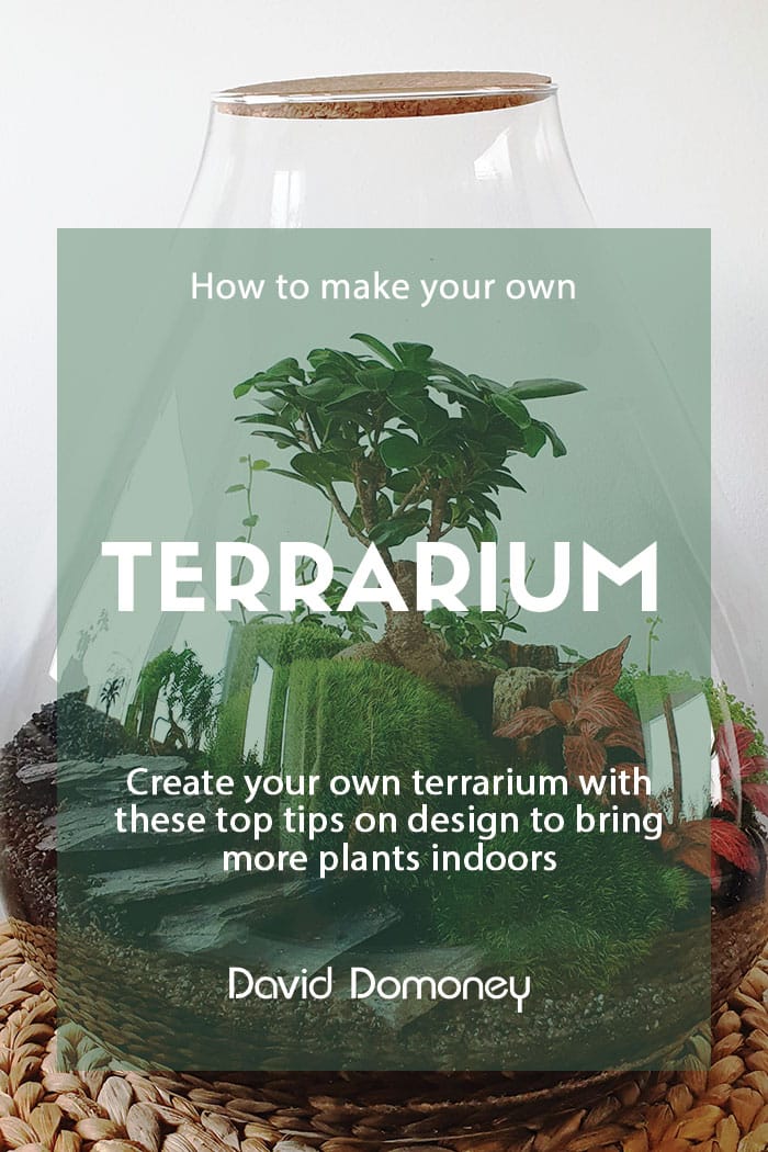 make a terrarium