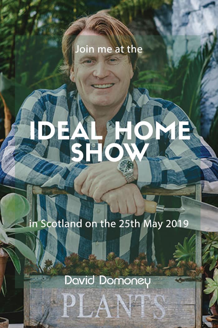 Ideal Home Show Scotland 2019