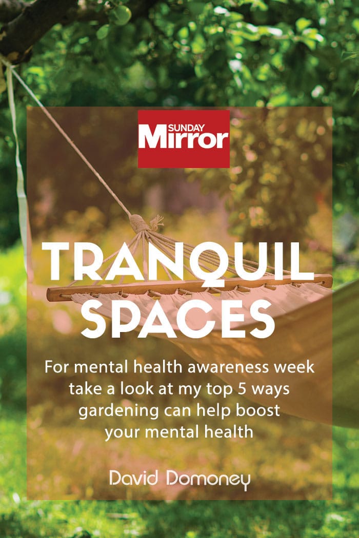 Sunday Mirror article: Tranquil spaces