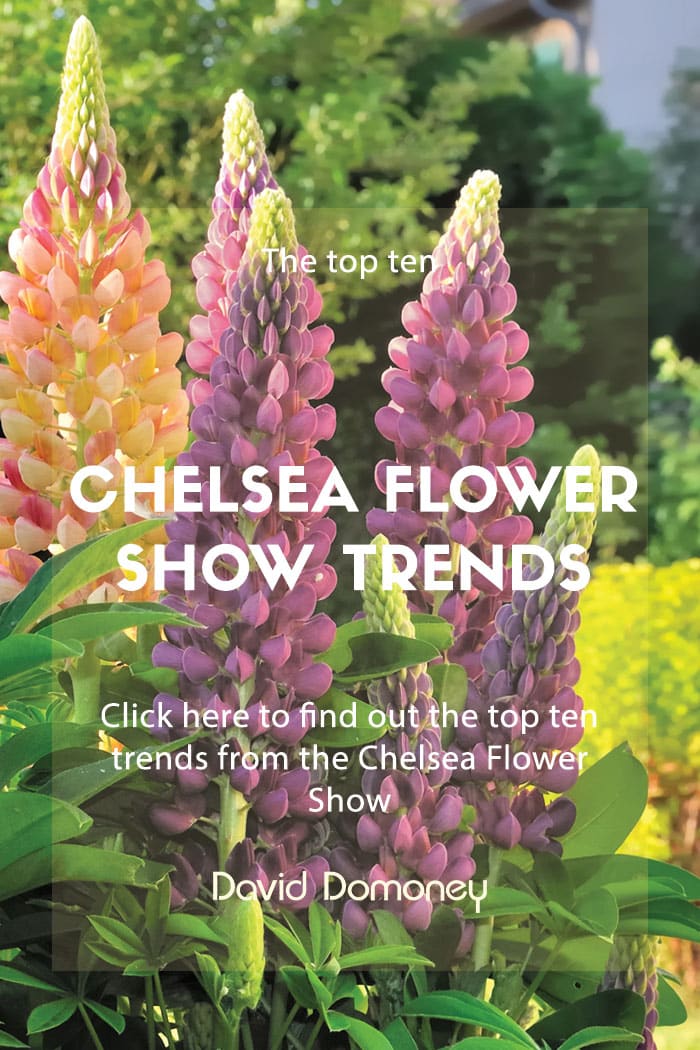 Chelsea 2019: Top 10 companion plants