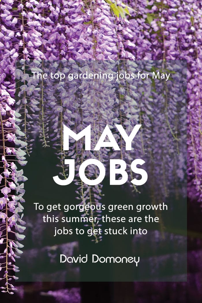 The top gardening jobs for May