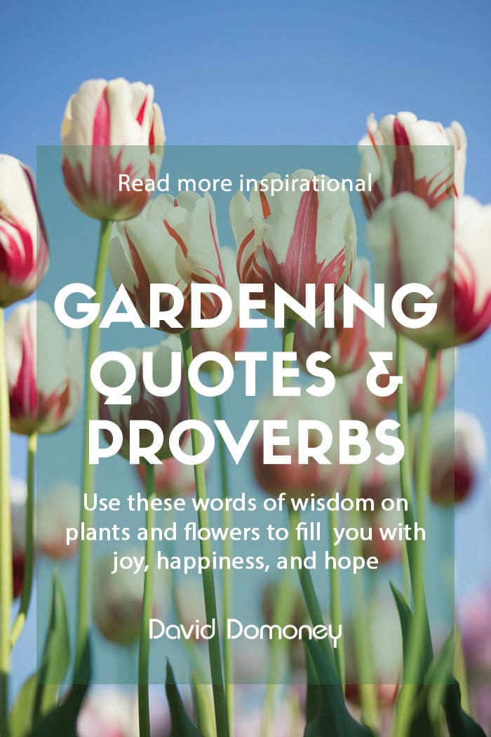 Inspirational quotes: 35 more on gardening and nature