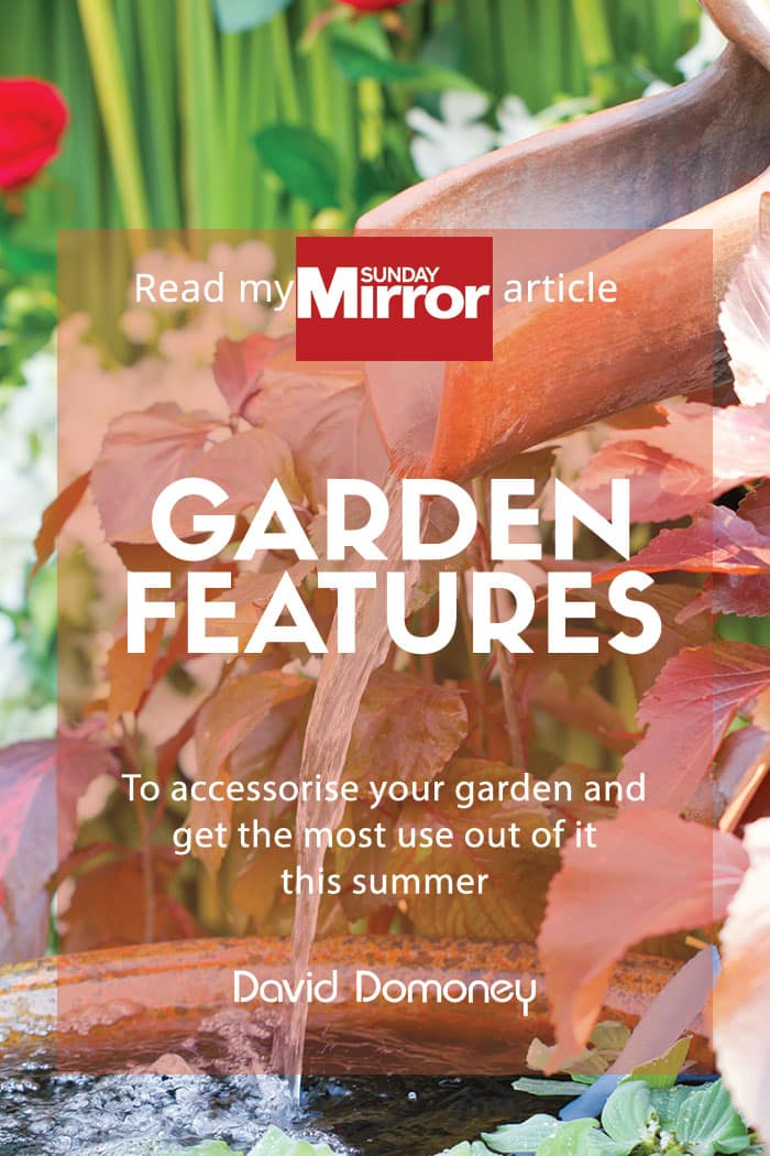 Sunday Mirror: Garden features