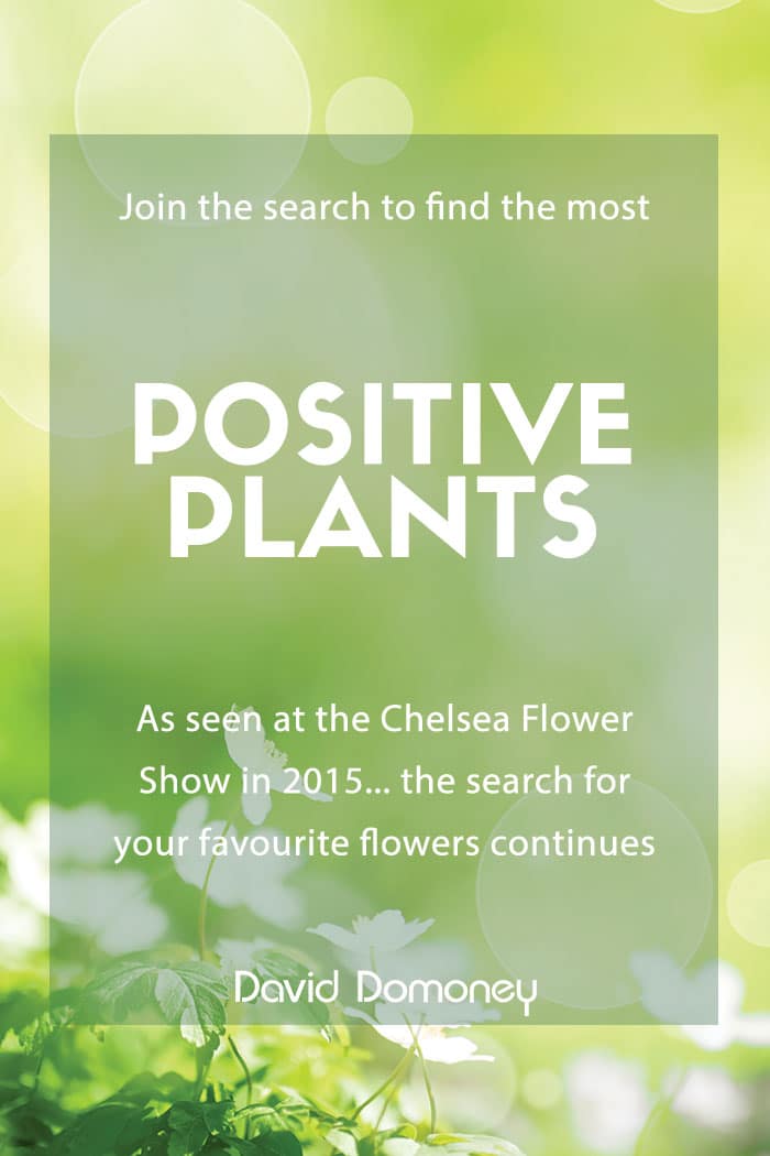 The positive power of plants