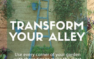 Transform your alley