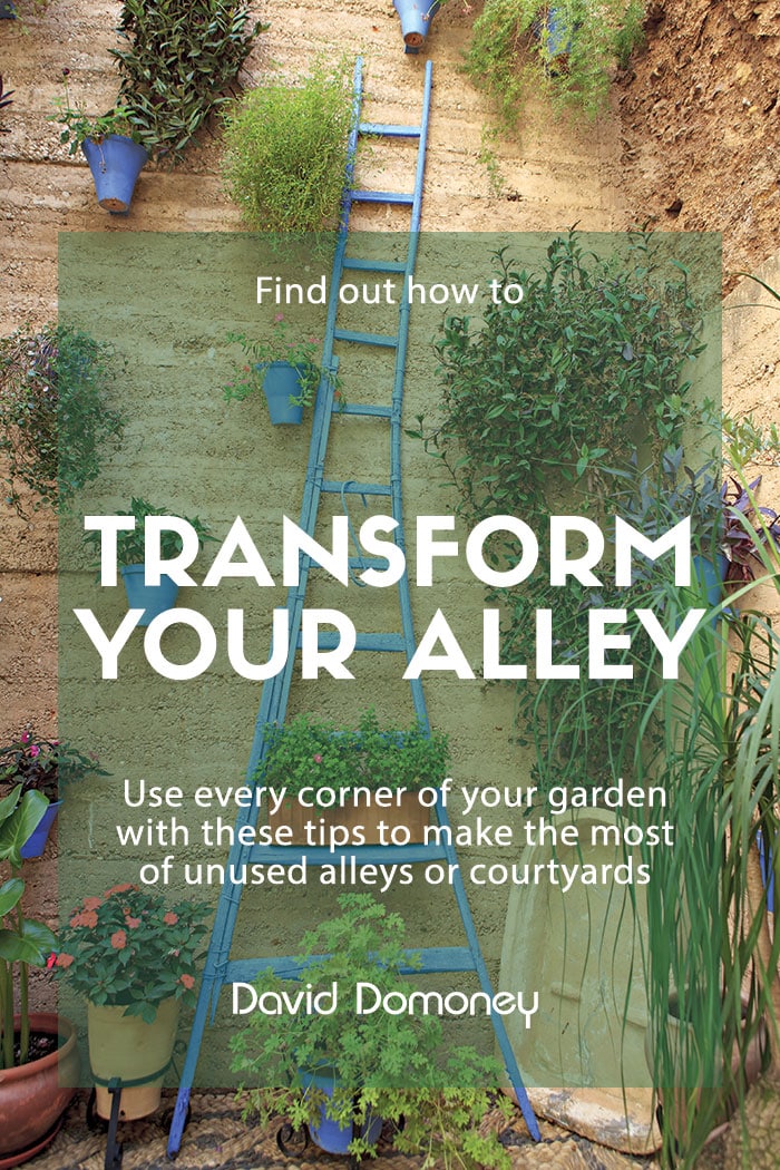 How to transform your garden alley or courtyard