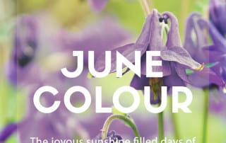 june colour