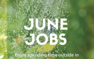 june jobs