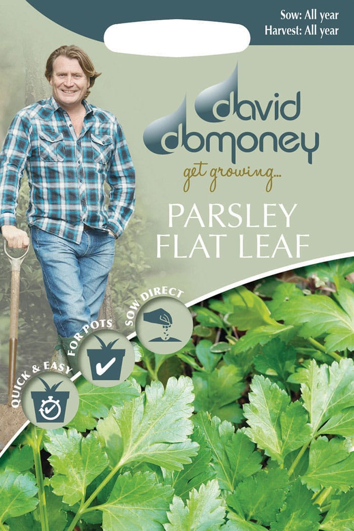 Get growing Mr. Fothergill’s Parsley Flat