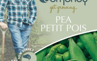 pea petit pois